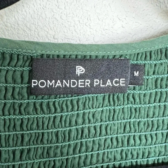 NWOT Tuckernuck Pomander Place Ceci Smocked Dress Long Puff Sleeve Jaguar Green - Picture 8 of 12